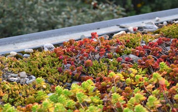 the cost of Monksilver green roof installation